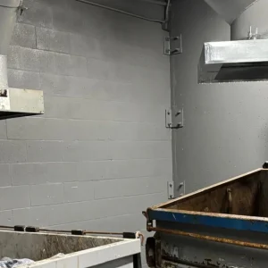 Untitled design - 2025-09-23T113953.233