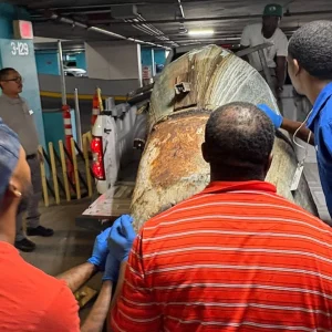 Untitled design - 2025-09-23T114508.142