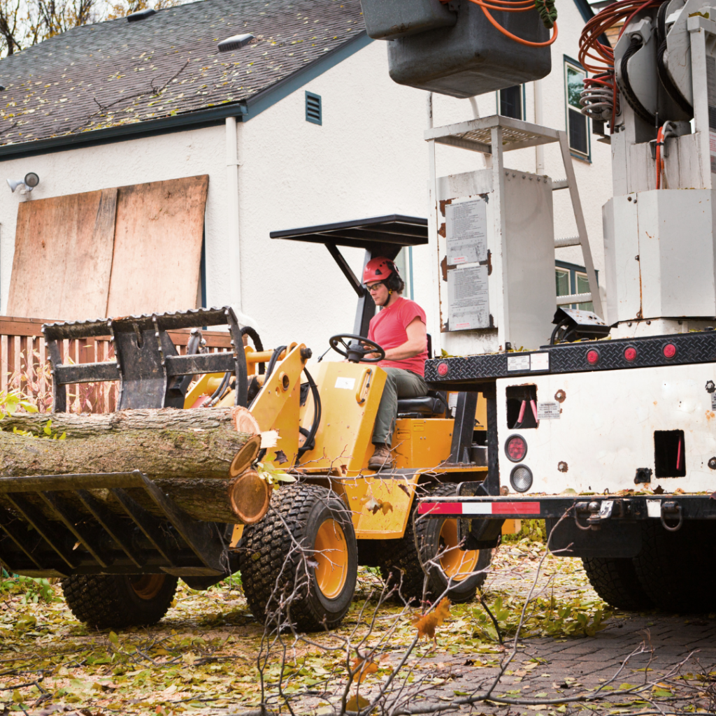 construction waste removal